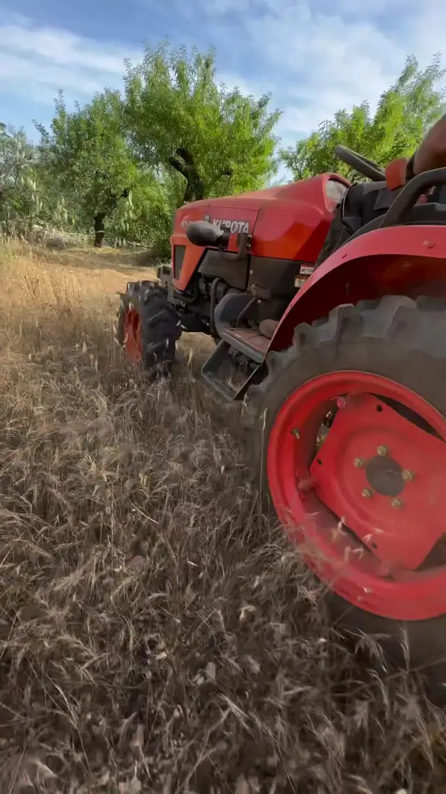 Trattore al lavoro sull’erba alta di un terreno tra gli alberi