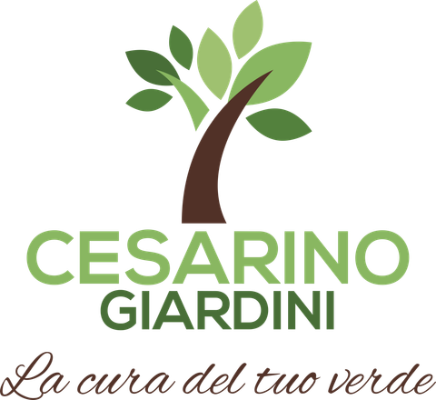Cesarino Giardini – Caring for your garden