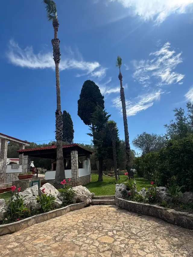 Giardino con palme, gazebo e aiuole in pietra