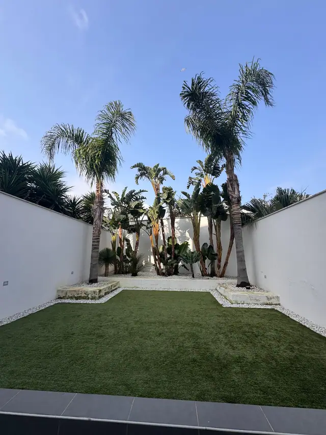 Patio con palme e prato tra muri bianchi