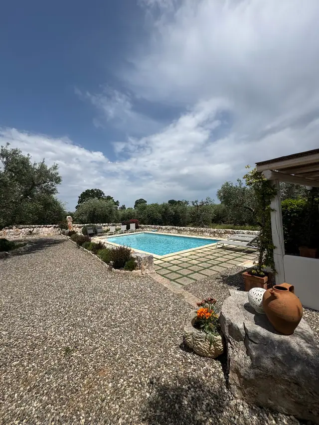 Piscina tra ulivi con area in ghiaia e piante in vaso
