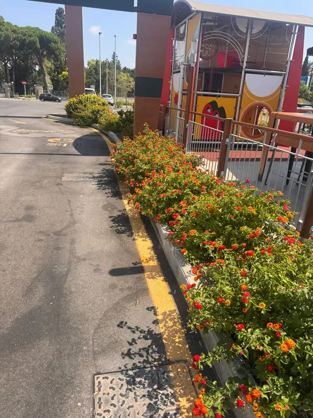 Flower bed in bloom along the outdoor path of a retail outlet