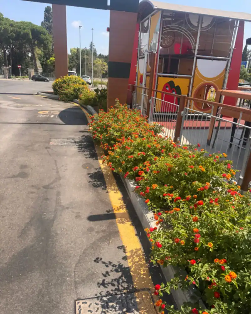 Well-kept flowering bed along the outdoor path of a retail store