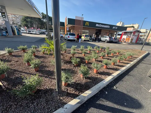 Nuove aiuole con pacciamatura in lapillo nel piazzale di un punto vendita