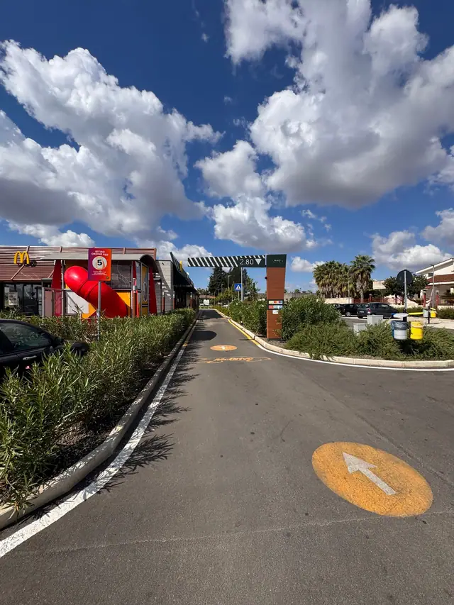 Aiuole e siepi lungo il viale di un drive