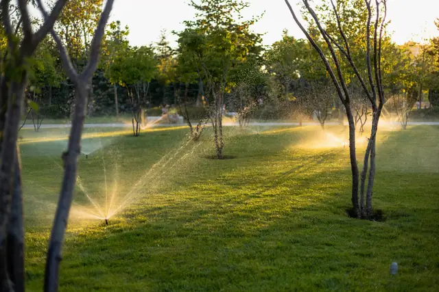 Irrigatori a scomparsa in funzione su un prato con alberi, alla luce del tramonto