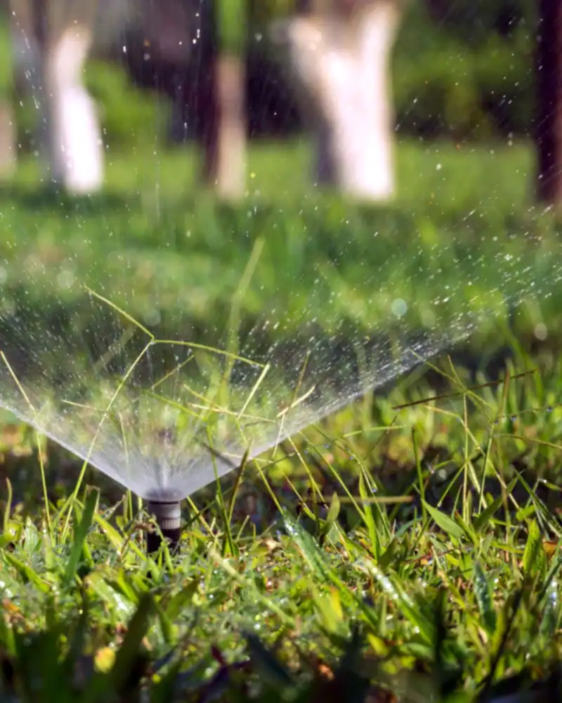 Irrigatore a scomparsa di un impianto automatico che bagna il prato con un getto a ventaglio